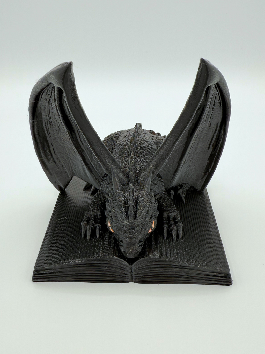 Dragon Book Protector