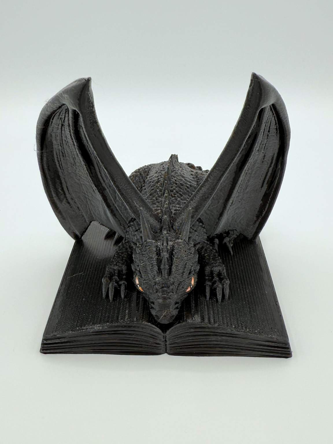 Dragon Book Protector
