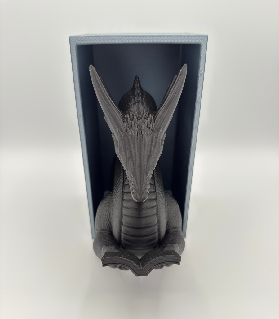 Dragon Reader - Book Nook