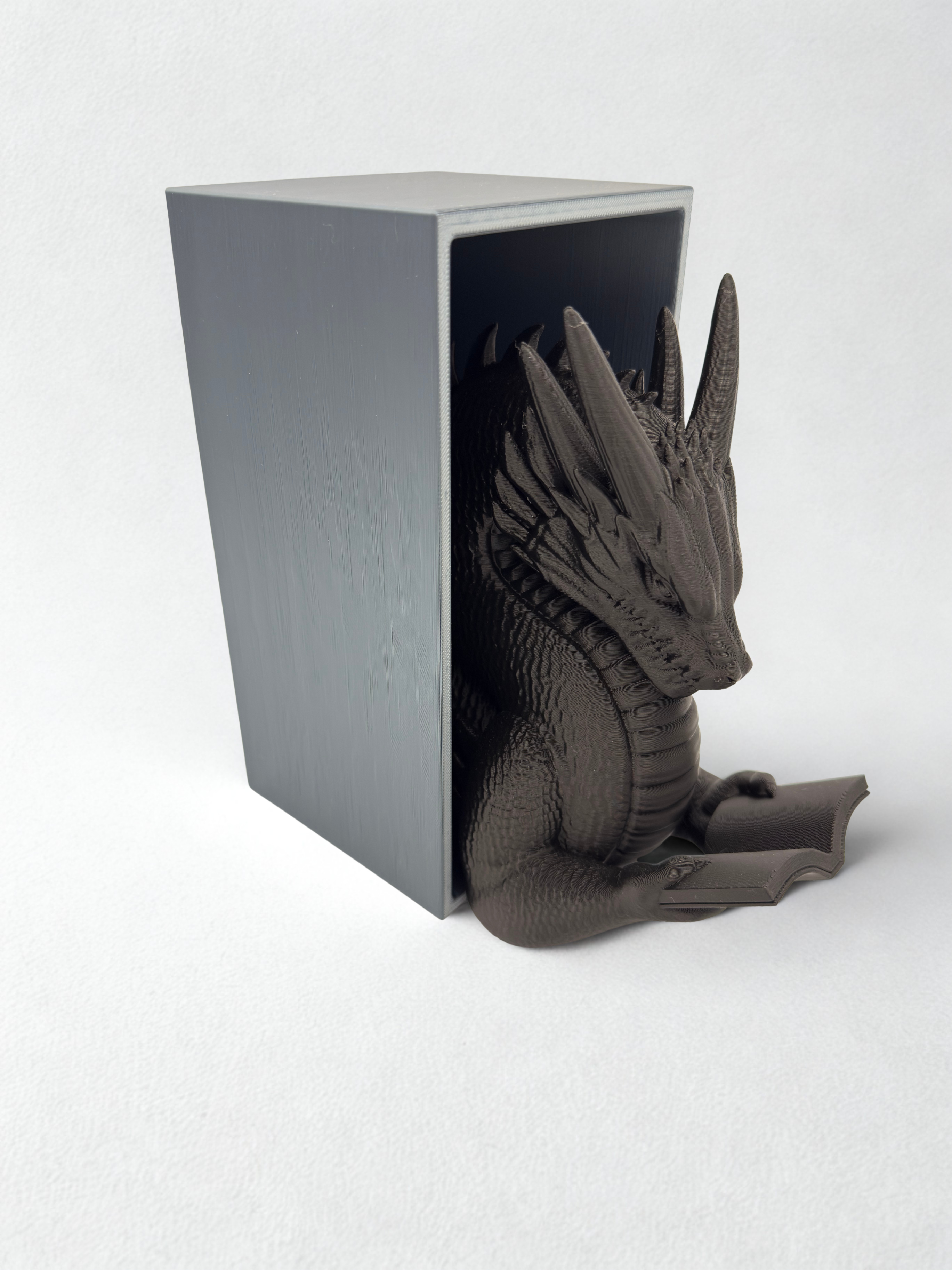Dragon Reader - Book Nook