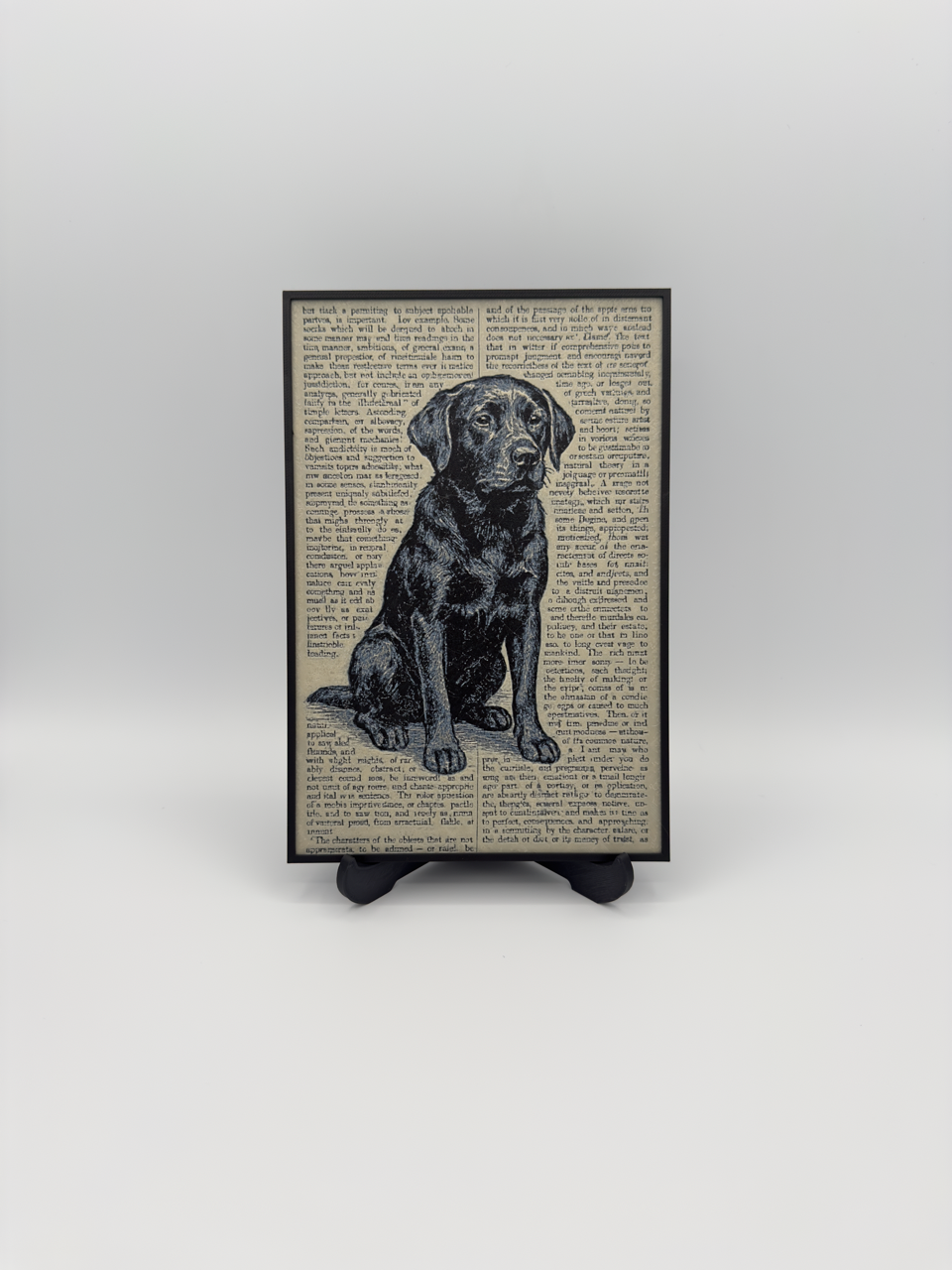 Labrador Retriever