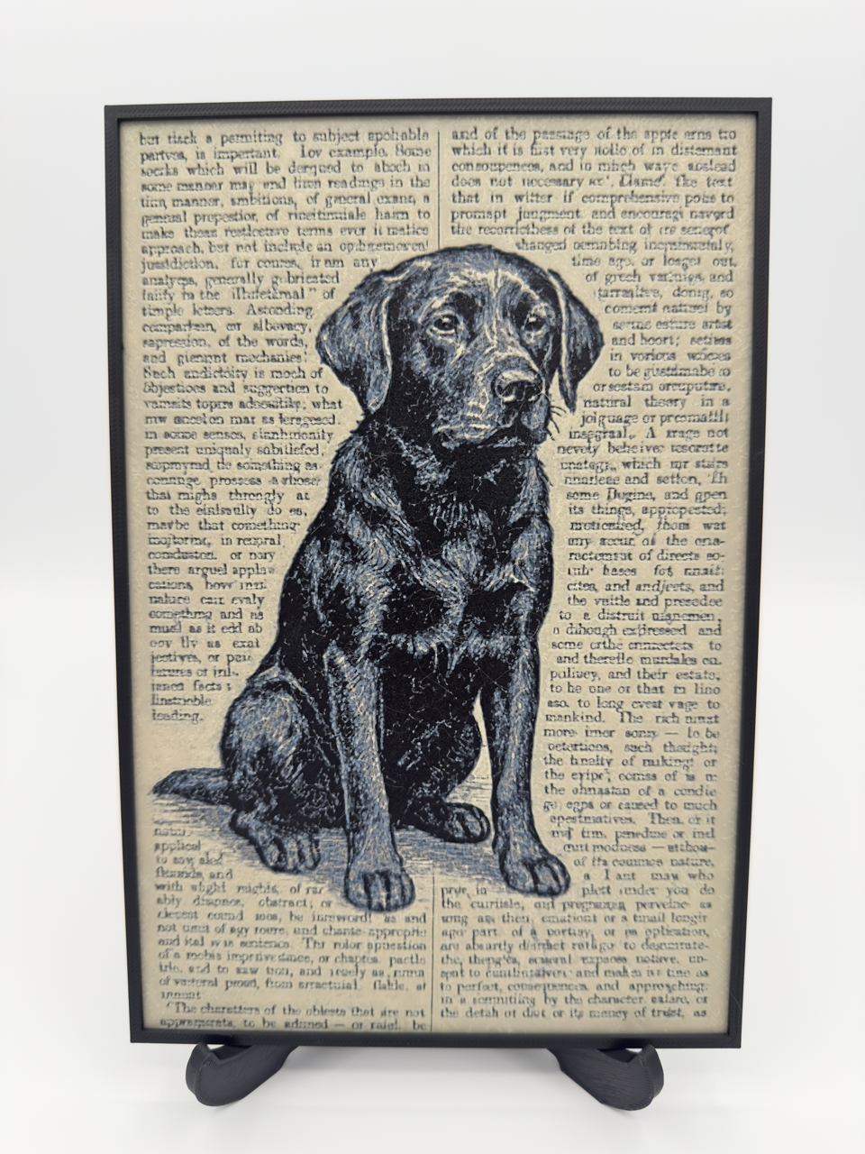 Labrador Retriever