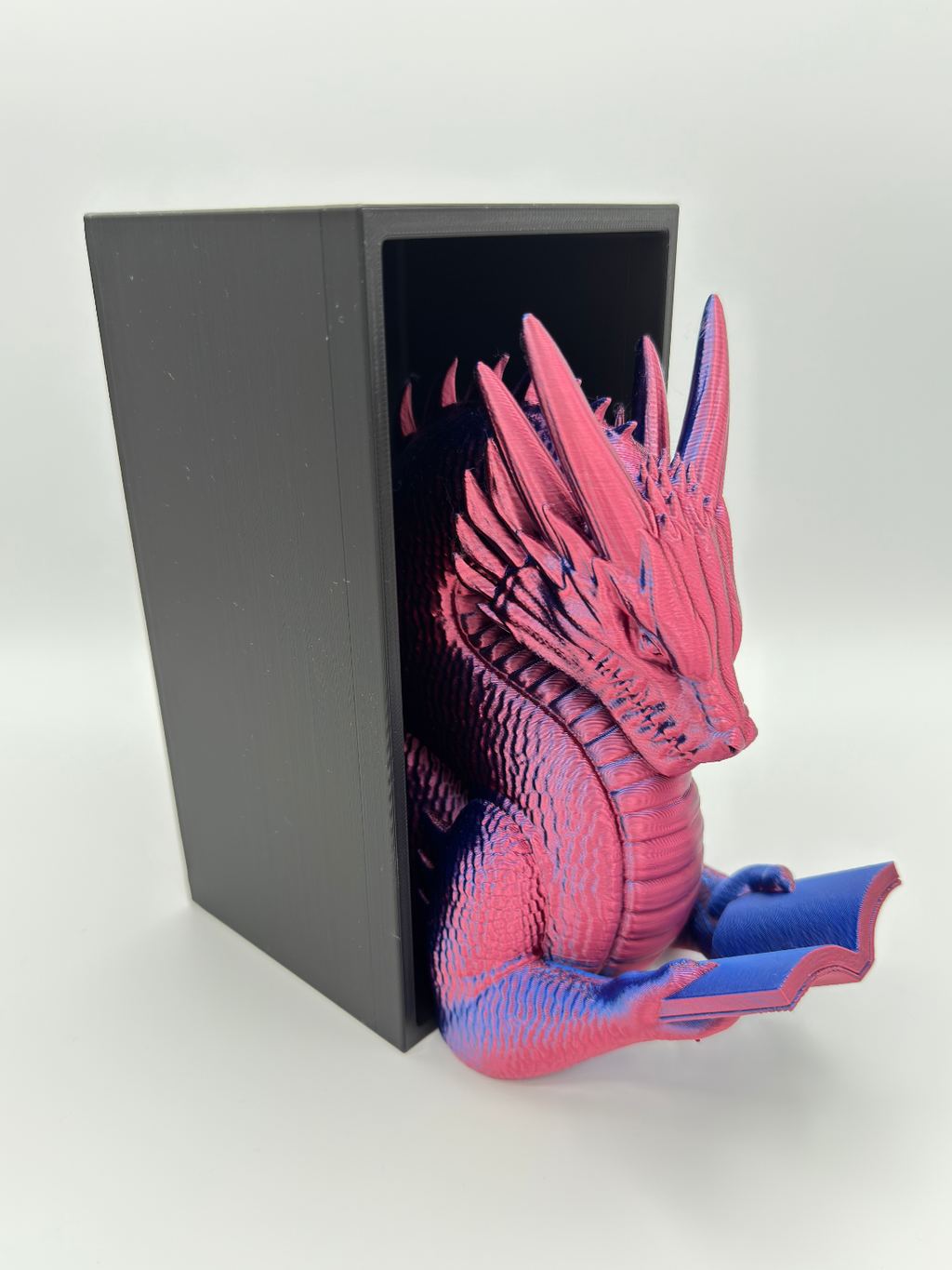 Dragon Reader - Book Nook