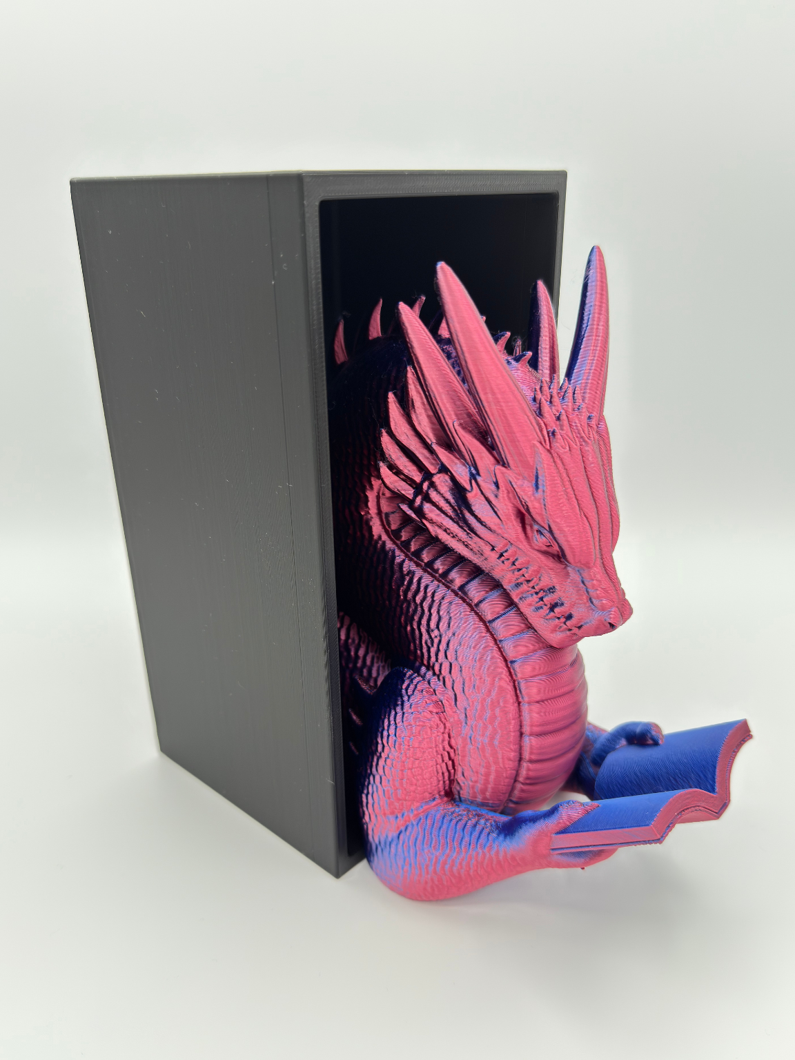 Dragon Reader - Book Nook