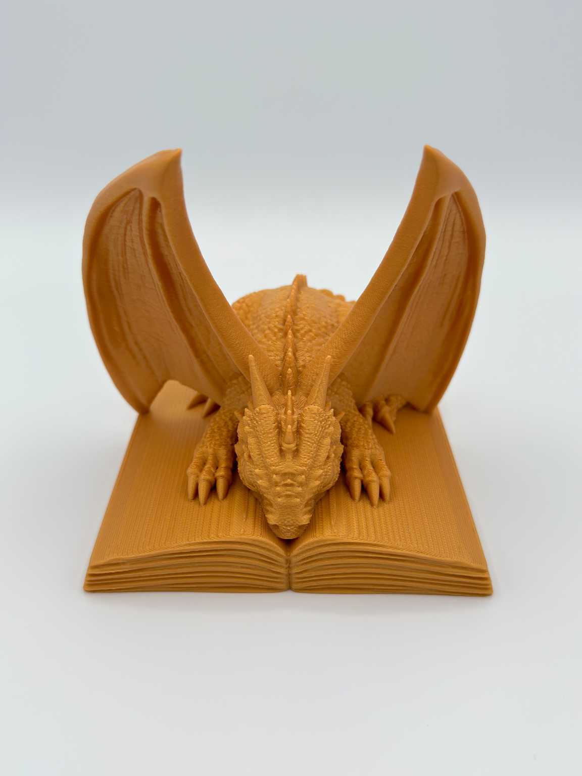 Dragon Book Protector