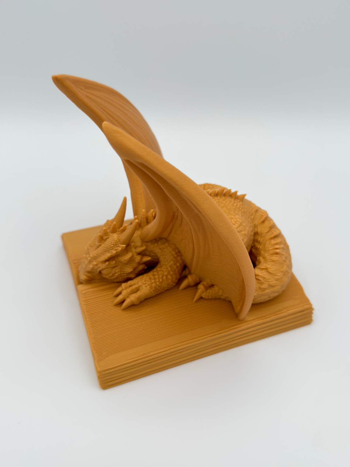 Dragon Book Protector