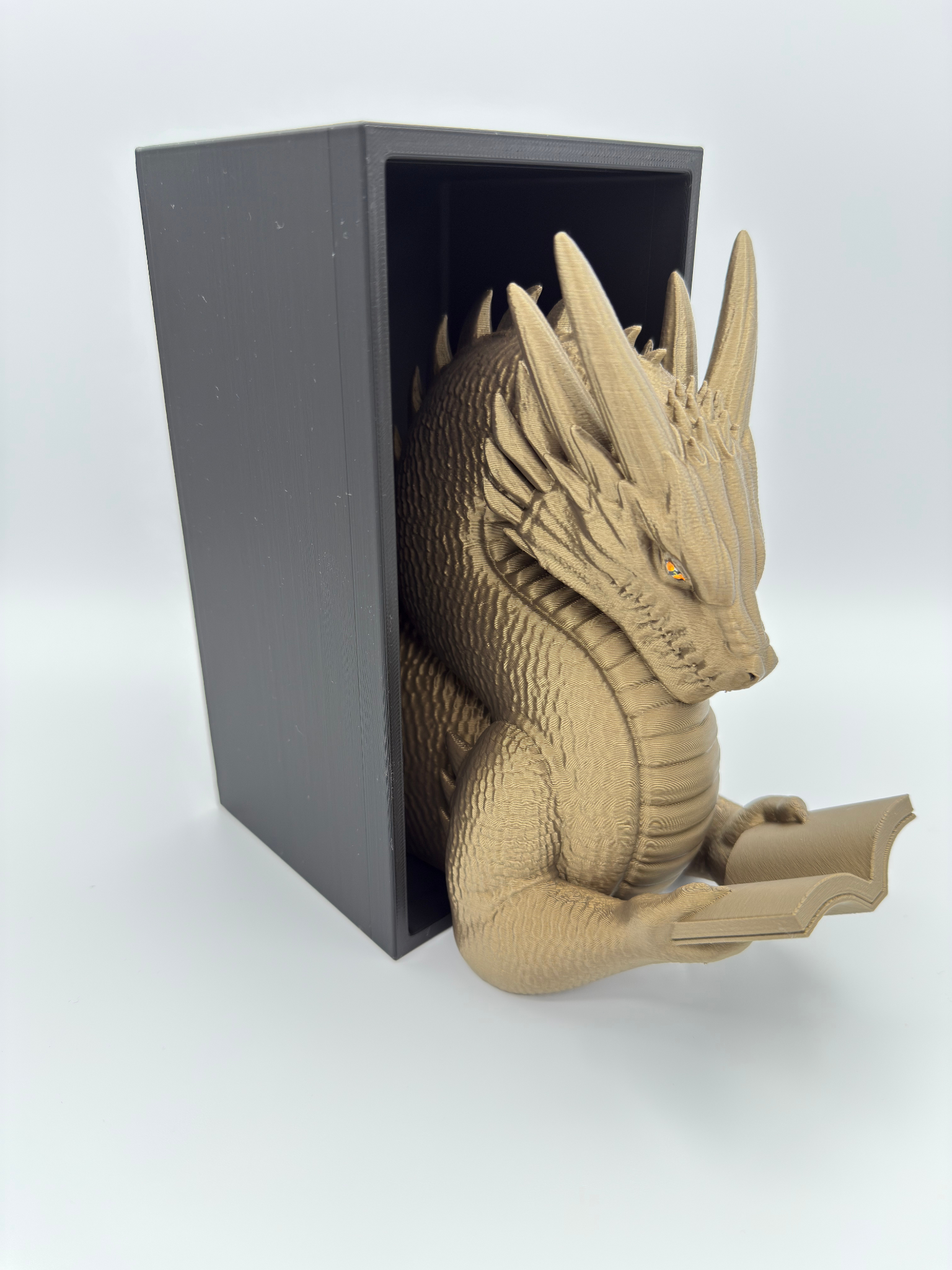 Dragon Reader - Book Nook