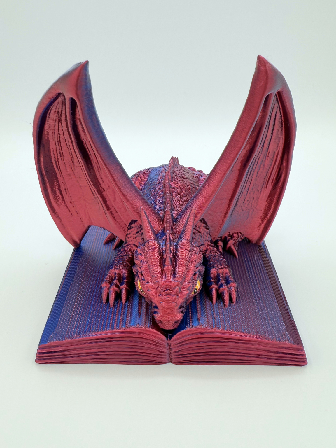 Dragon Book Protector