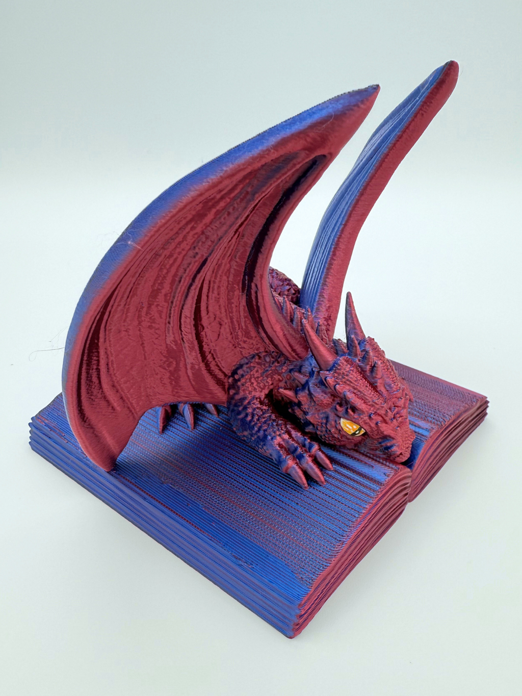 Dragon Book Protector