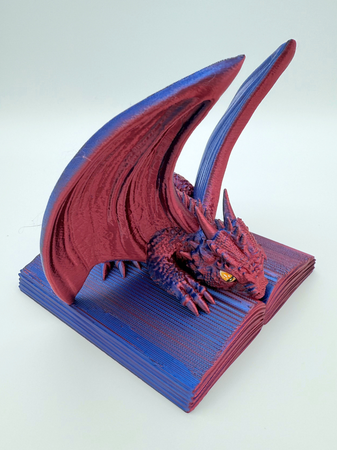 Dragon Book Protector